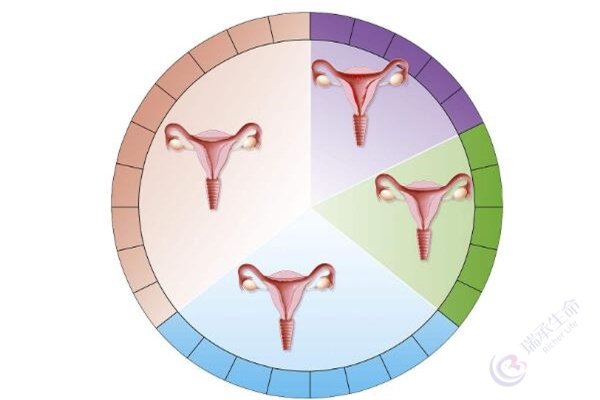 子宫内膜容受性不佳做试管有什么好孕策略？