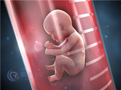 胚胎碎片率高致流产，去泰国做试管如何规避？