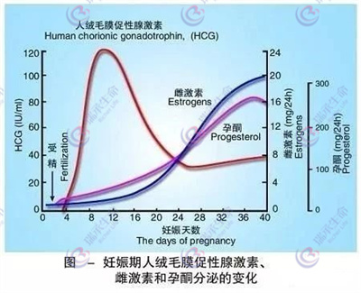 避免胚胎着床失败，做试管子宫需满足什么要求？