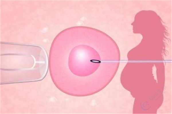 试管成功妊娠的两大关键：健康囊胚和良好子宫