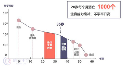 AMH值过低 做试管婴儿助孕成功率有保障吗?