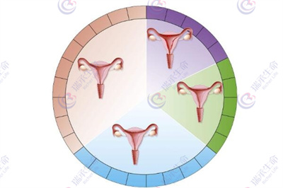 子宫内膜薄，去泰国做试管前要如何调整？