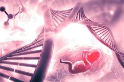 揭秘：试管婴儿囊胚的形成过程，其优势何在？