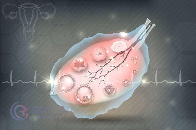 教您科学补充孕动力 为试管婴儿周期加分