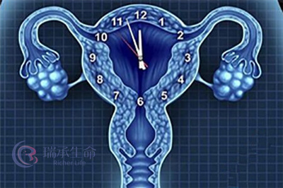 泰国试管婴儿科普：试管前如何调理卵巢？