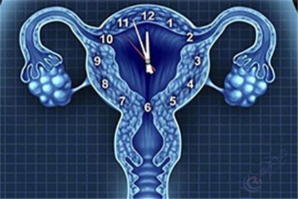 造成卵巢功能下降的因素是什么？如何定方案？