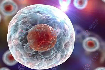马赛克胚胎什么意思？是健康可用的吗？