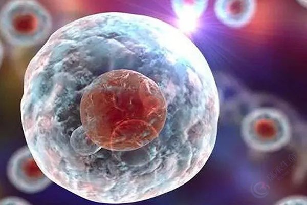 马赛克胚胎什么意思？是健康可用的吗？