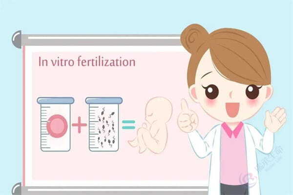 试管婴儿促排卵环节如何保障卵子质量