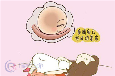 试管婴儿移植后“黄金48小时”如何提高着床率
