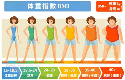 BMI体重指数是如何影响试管成功率的？