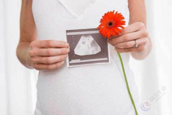 生化妊娠与胎停区别在哪？做试管有何好孕之策？