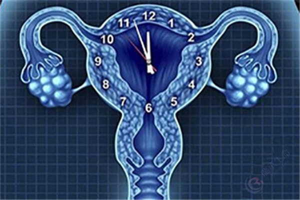 卵巢早衰取不到可用的卵子，如何开展试管周期？
