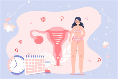 女性子宫内增生，做试管影婴儿响囊胚着床吗？