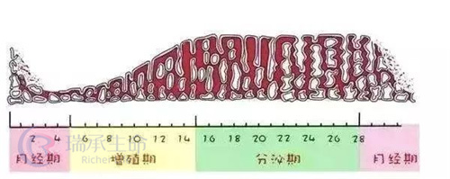 子宫内膜厚度与胚胎移植成功率的关系分析