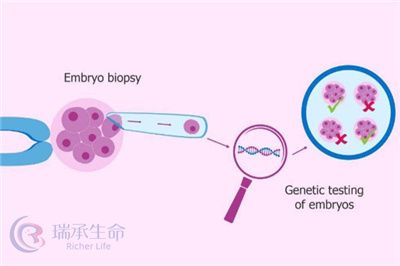 胚胎质量差分裂速度慢是什么原因导致的？