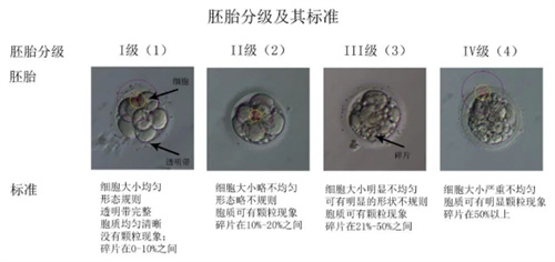 评分较低的胚胎是该继续移植还是攒胚胎？