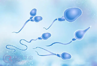 导致精子活力差的原因有哪些？试管ICSI技术可以解决吗？