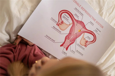 女性子宫内膜增生会影响试管婴儿囊胚着床吗？
