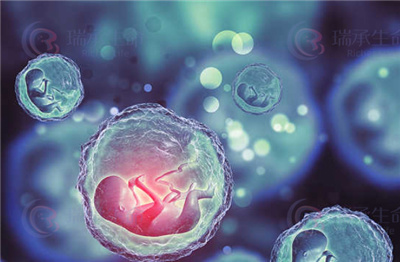 探究胎停育与染色体异常的关系：揭示生命的奥秘