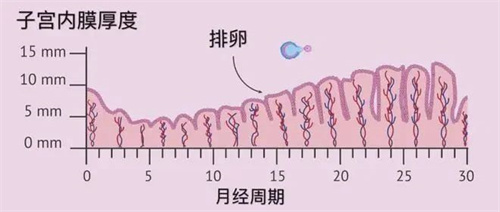 子宫内膜异常在进行试管胚胎移植前，需要做哪些调理？