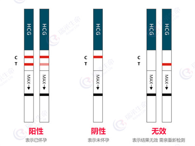 自然怀孕生化妊娠后，何时开启试管周期？