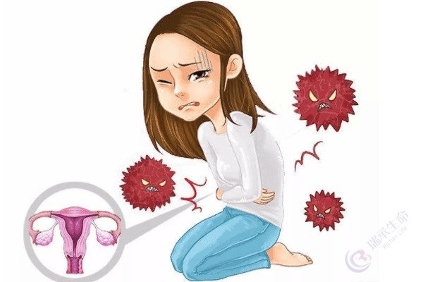患有附件炎对生育能力的影响大吗？是否能做试管婴儿？