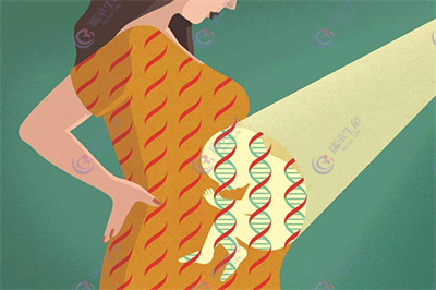 导致卵子染色体异常的原因有哪些？做第三代试管婴儿优势何在？