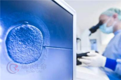胚胎保存后再移植：解锁试管婴儿高着床率的秘密武器