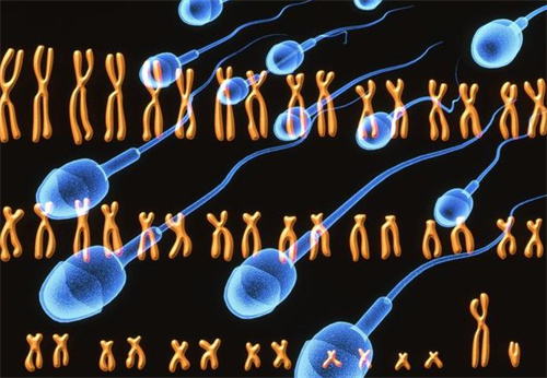 试管婴儿科普：叶酸对男性生育有没有好处？