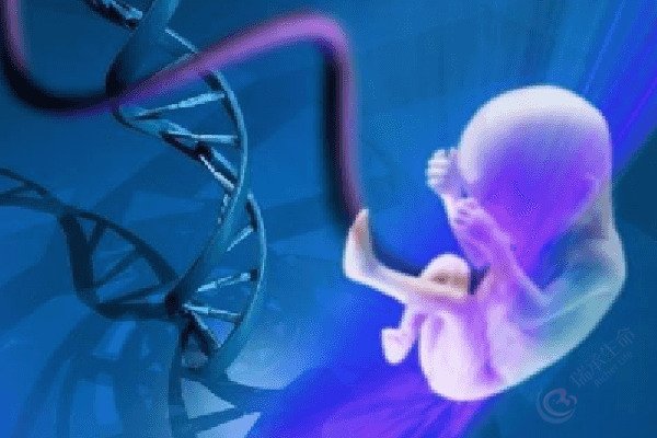 染色体倒位，第三代试管婴儿技术能筛查出来吗？