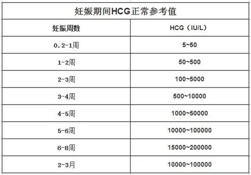 早孕三项解读，你想知道的都在这里！