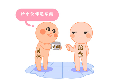 早孕三项解读，你想知道的都在这里！