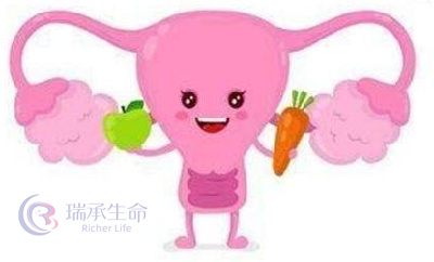 试管婴儿促排失败？这些关键原因和应对办法要知道