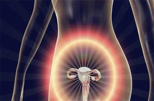 试管婴儿成功率“密码”：黄体支持真是关键一环？