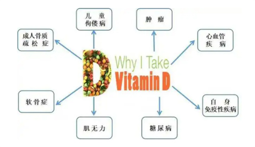 做试管婴儿，基础卵泡少是缺乏维生素D吗？