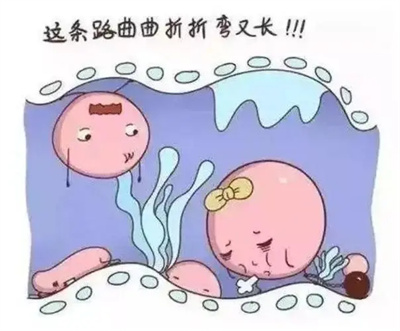 输卵管积水：藏在“生命通道”里的隐患，如何影响试管成功率？数据揭示真相