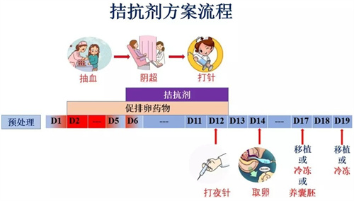 做试管婴儿前必知：降调，真的必须做吗？一文说清关键细节