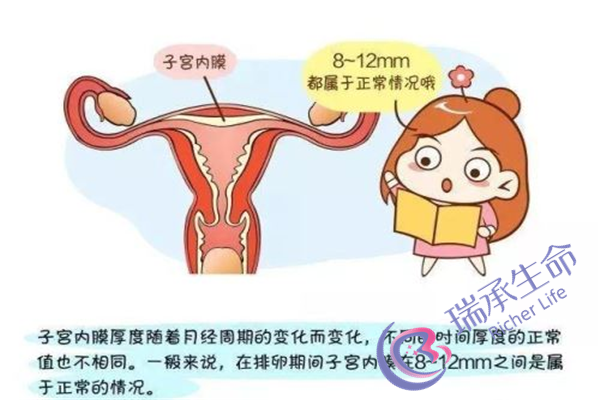 fsh值超过多少为卵巢储备功能差？通过哪些因素来判断卵巢储备功能？
