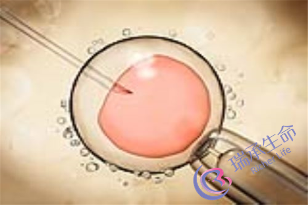 输卵管不通的主要症状是什么？都有哪些表现？