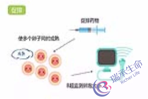 多囊卵巢能吃叶酸备孕，还要注意这些生活方式！