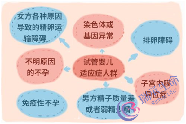 合肥试管婴儿费用是多少？哪个试管医院的收费更便宜？