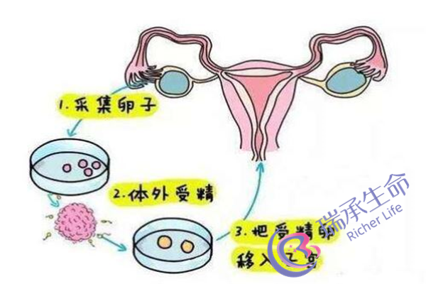 鞍山妇儿医院试管价格表：基础费用构成