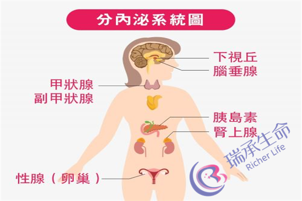 40岁做试管婴儿有几成把握 多尝试一些方法轻松助孕