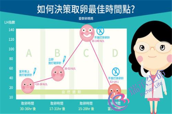 香港那家医院做试管婴儿好？选择试管婴儿医院要注重什么？