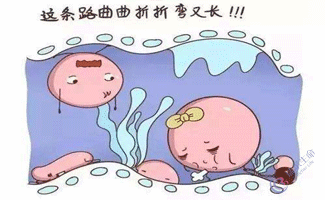 输卵管积液会影响做试管婴儿的成功率