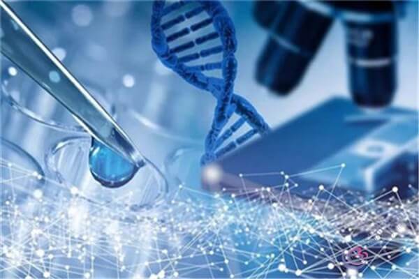 泰国试管婴儿技术如何保障新生儿健康？成功率高吗？