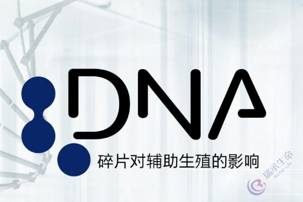 男性精子碎片率高，去泰国做试管如何解决生育问题？