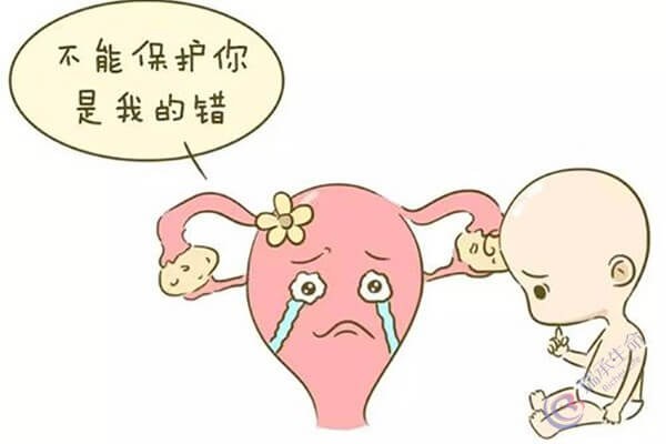 多次发生胎停或流产，你需要检查这些方面是否正常