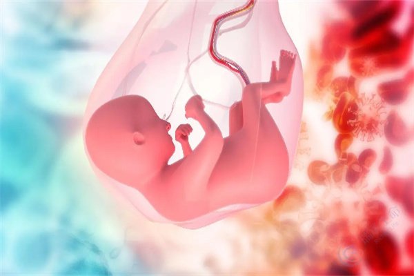 子宫动脉血流异常对试管婴儿的影响是什么？有什么办法解决？